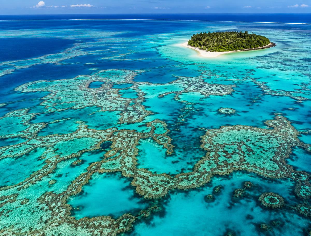 Aerial view of the Great Barrier Reef with a tropical island